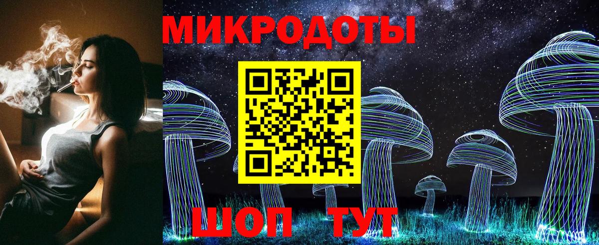 Галлюциногенные грибы Psilocybe Клин